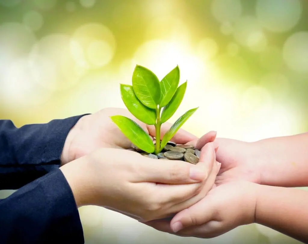 Hands holding a small plant, symbolizing growth and forgiving after addiction in the journey to recovery.