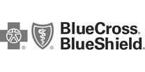 Blue Cross Blue Shield logo
