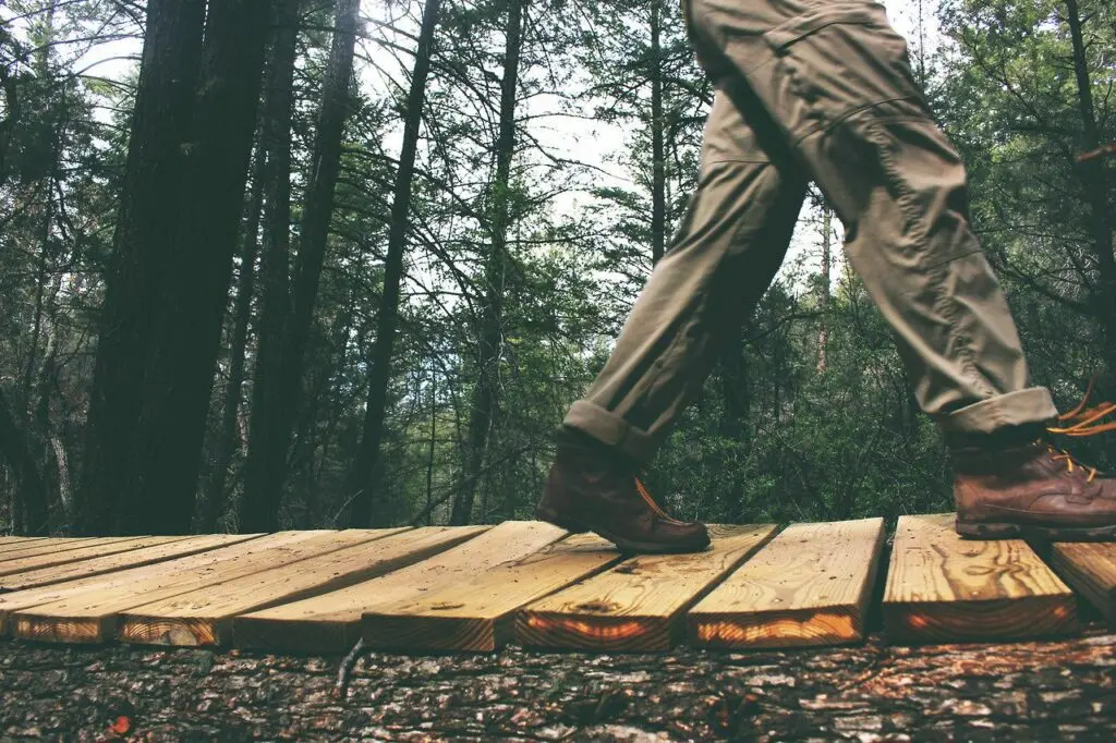 Person walking on a forest path, illustrating why some people love Alcoholics Anonymous and some don't.